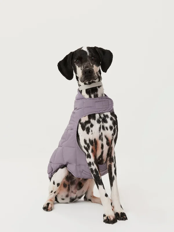 The Skyline Dog Jacket in Slate Violet